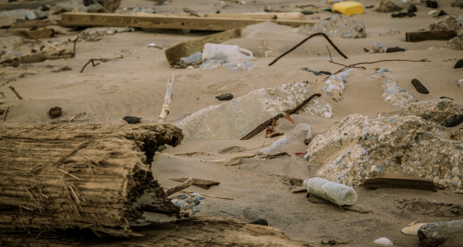 art-of-sandy-mo-seagate 2-45.jpg